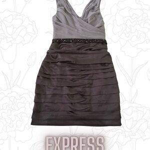 Express Women's Dress